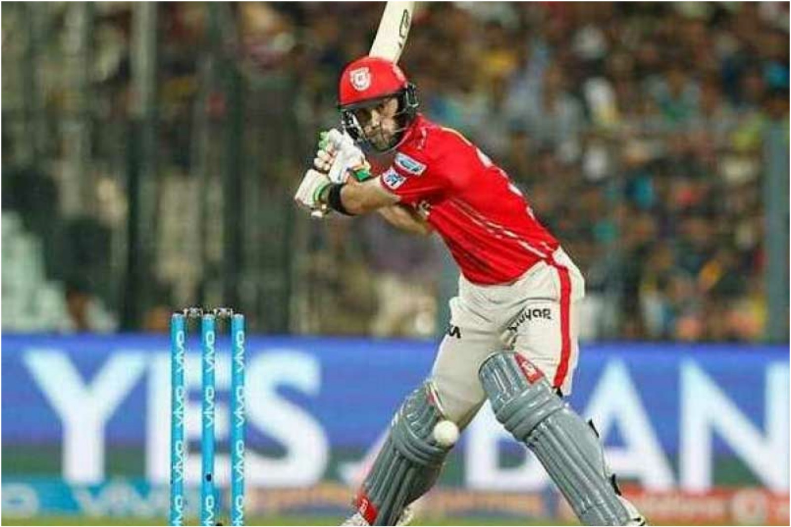 Glenn Maxwell kings XI Punjab
