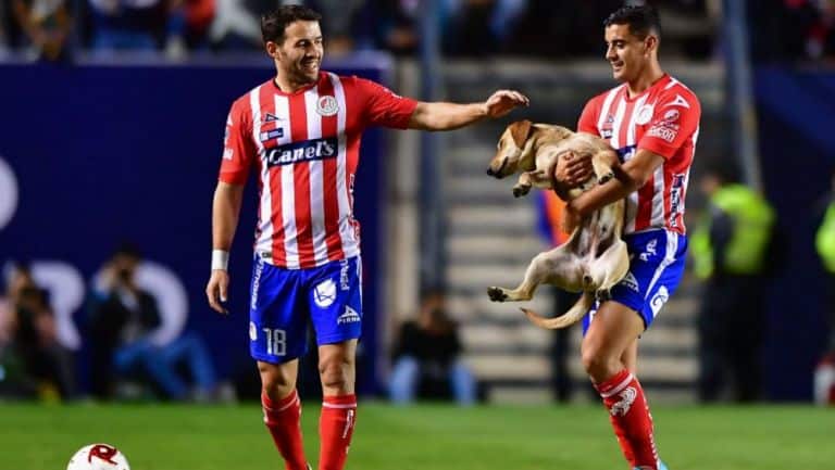 ASL vs TOL Dream11 Match Prediction Atletico San Luis vs Toluca Mexican League Fixtures 6 March