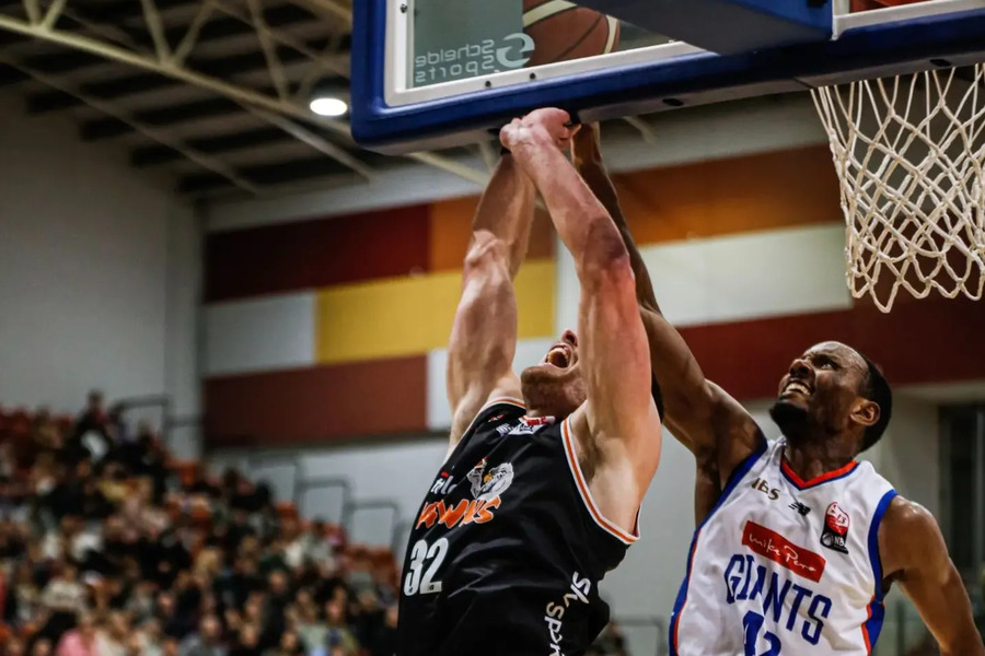 Nelson Giants vs Southland Sharks NG vs SSK Draem11