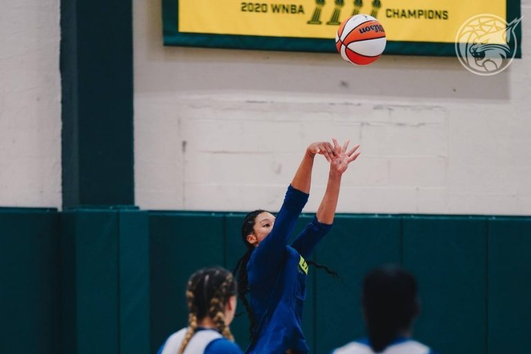 Seattle Storm vs Minnesota Lynx vs SEA vs MIN Dream11