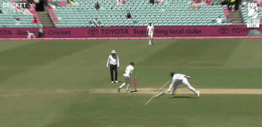 IND vs AUS: Marnus Labuschagne’s brilliant direct-hit runs out Jasprit Bumrah- WATCH