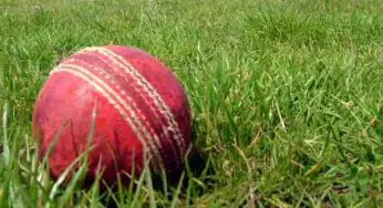 ICC vs PAK Dream11 Prediction: Match 1 of Sikkim T20 Cup 2024 Playing 11, Pitch Report, Fantasy Cricket Tips for Irises Cricket Club vs Pakyong XI Dream11 Team