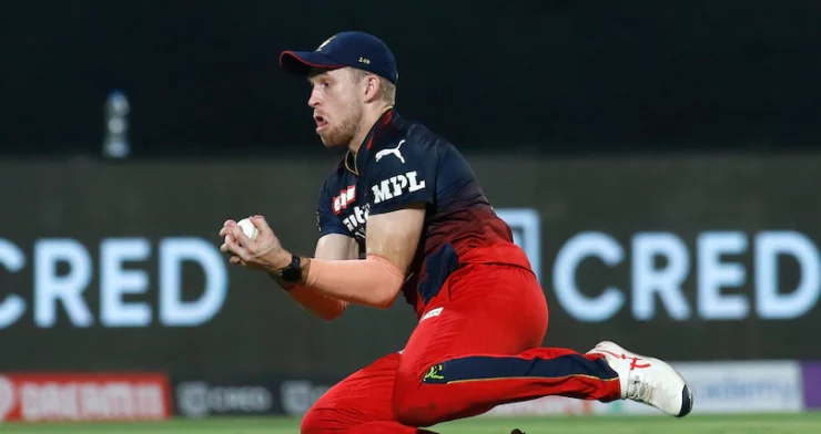David Willey IPL