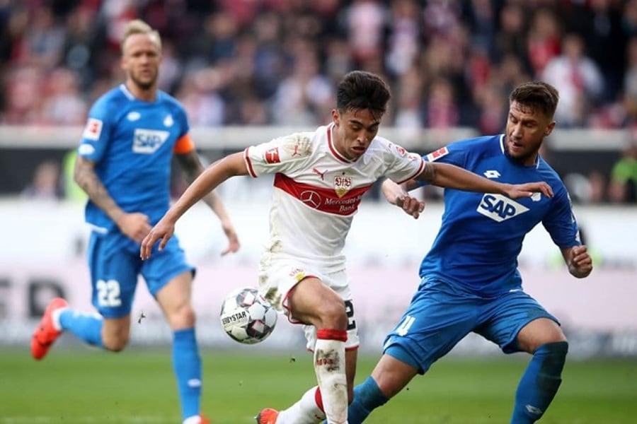 HOF vs STU Dream11 Prediction for Hoffenheim vs Stuttgart Preview Bundesliga Live Score, Fantasy Football Tips & Dream11 Team