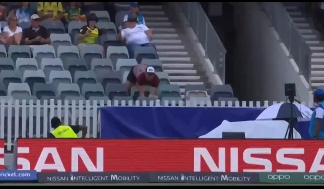 Watch: Spectator takes one of the best crowd catches you will ever see