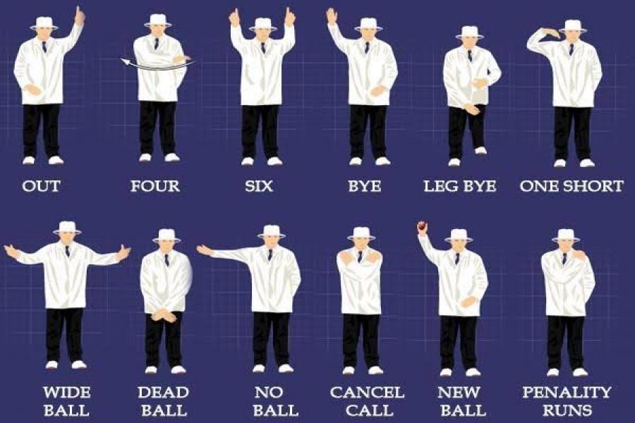 Cricket Umpire Signals