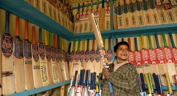 5 Intriguing Facts about Kashmir Willow Bat