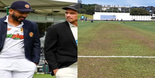 Wellington pitch report