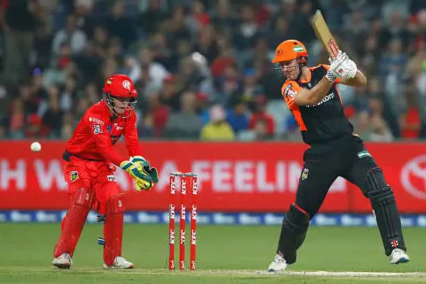 REN vs SCO Dream11 Tips for Melbourne Renegades vs Perth Scorchers Big Bash League 12 December