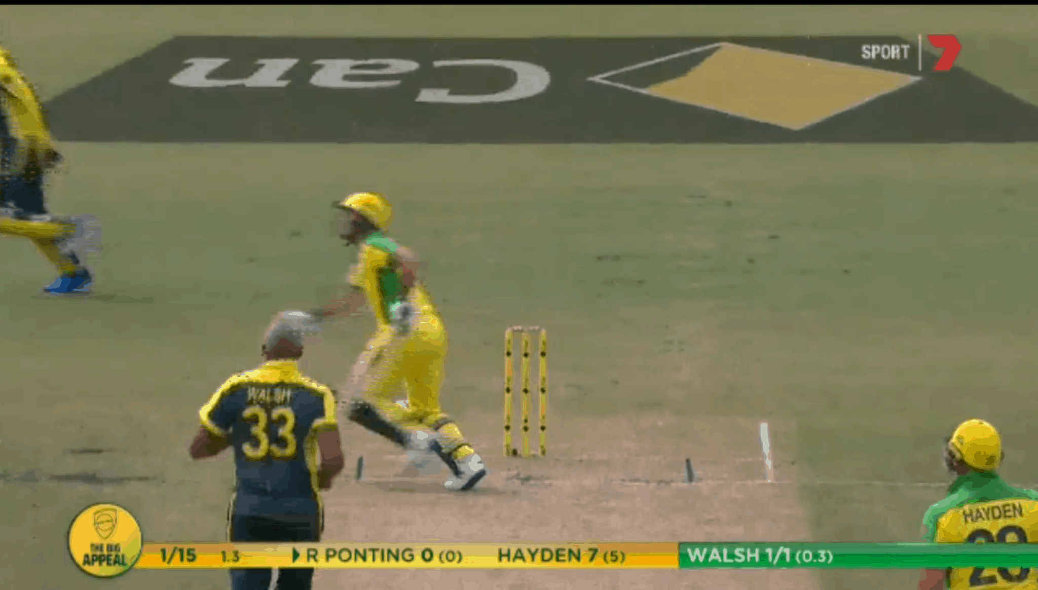 Watch: Hilarious moment in Bushfire Cricket Bash, Ponting running to smash Walsh’s ‘moon-ball’