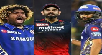 Who is King of IPL? Check here