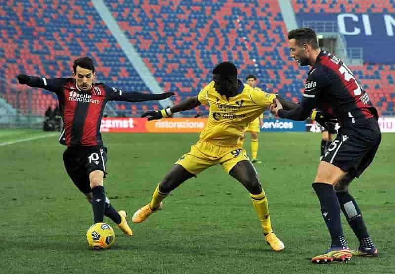 VER vs BOG Dream11 Team Prediction Tips for Hellas Verona vs Bologna Serie A Live Score 17 May