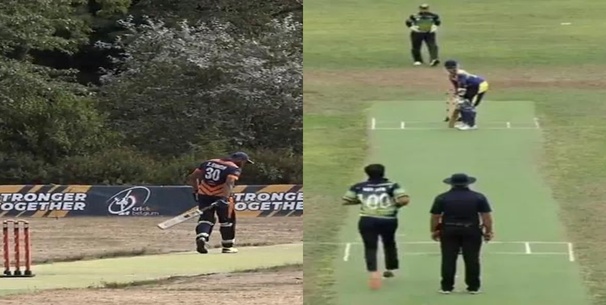 Zonic Tigers vs Spartans Dream11