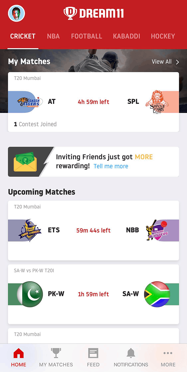 Win Dream11 Cricket
