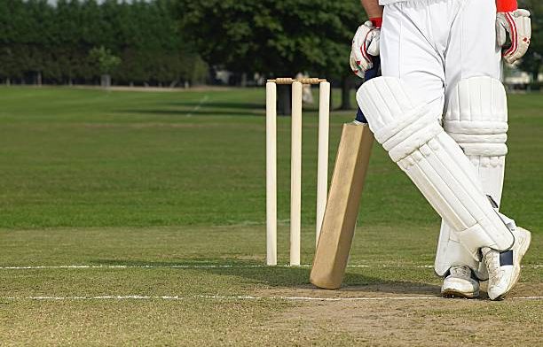 cricket betting