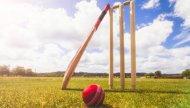 cricket betting new