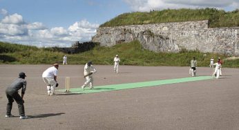 Cricket Mat, its cost and details
