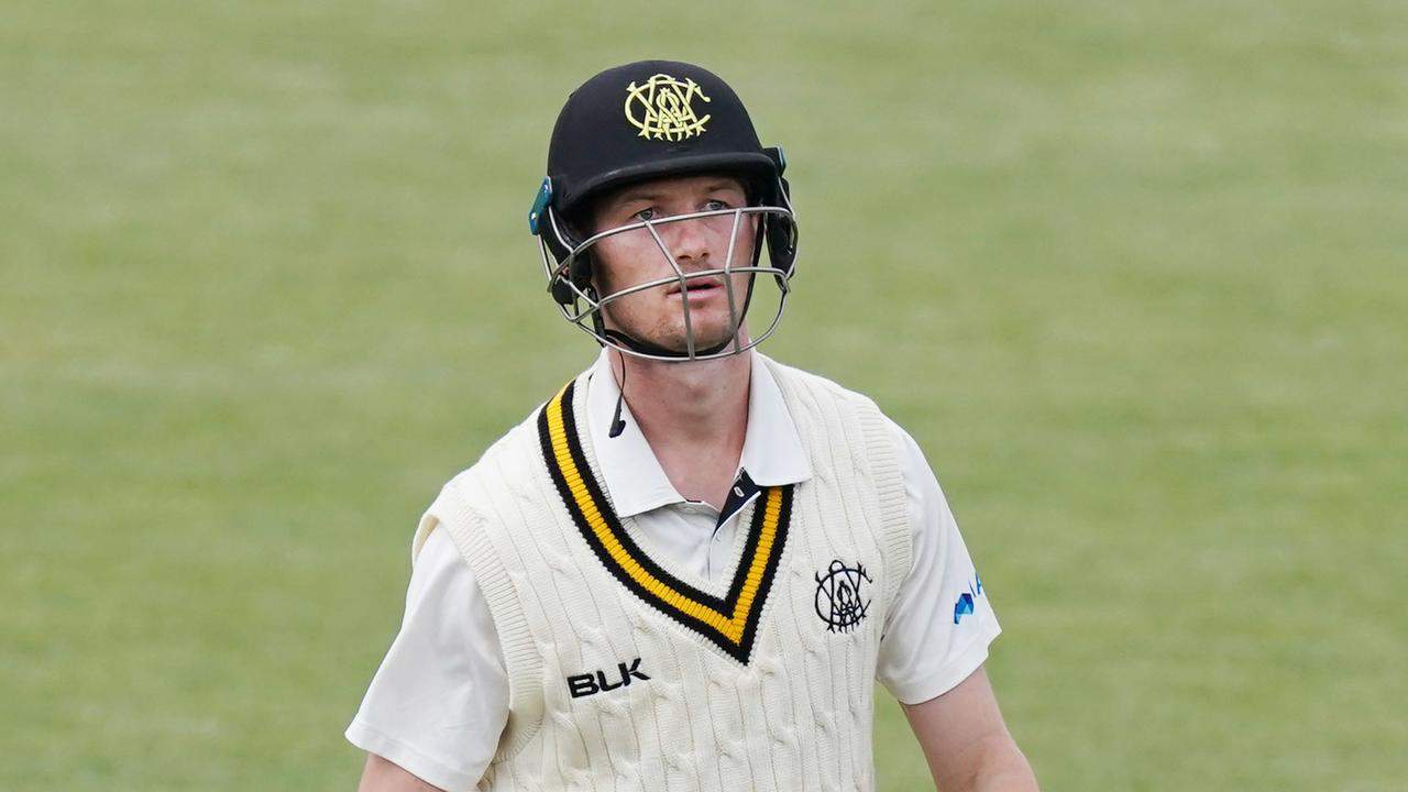 WAU vs SAU Dream11 Team Prediction Tips for 3rd One Day Western Australia vs South Australia Australia One Day Cup 02 March