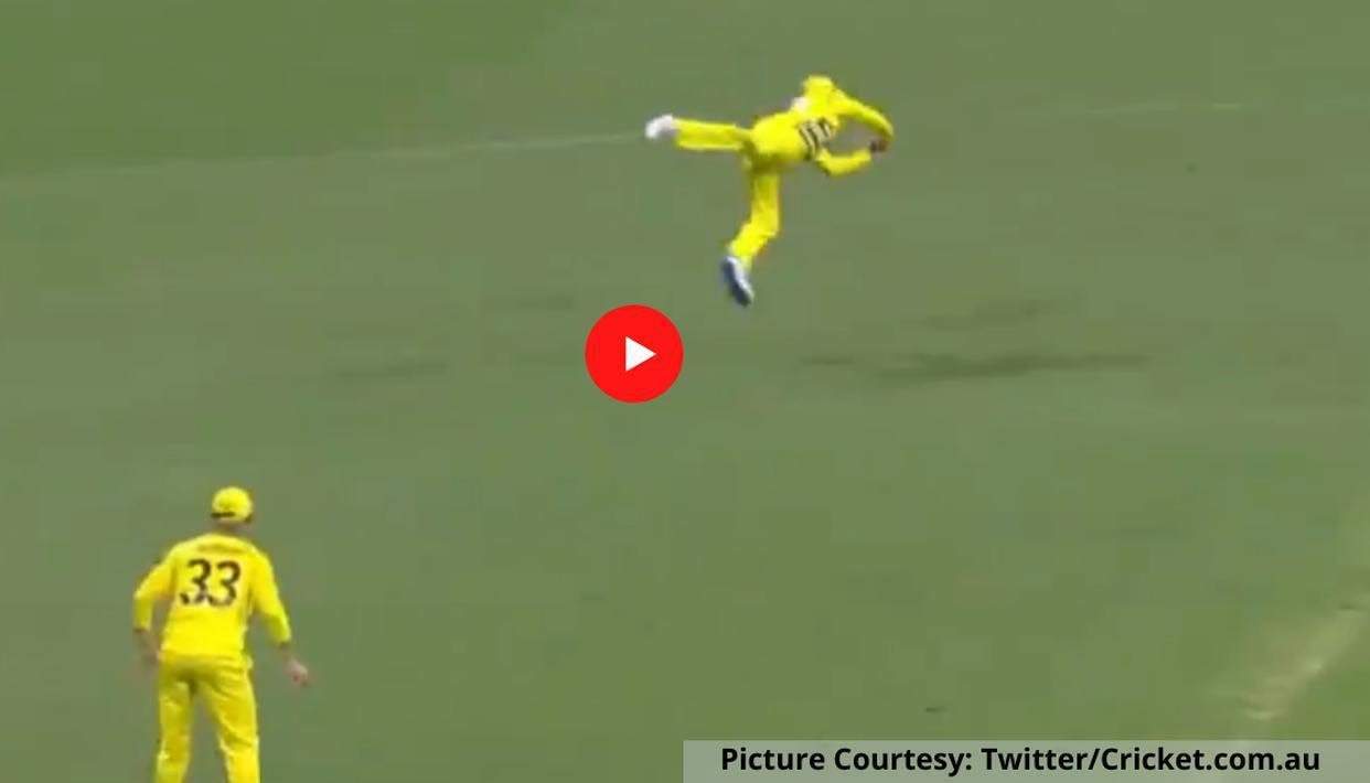 Watch: Steve Smith takes a blinder at point to dismiss Colin Munro