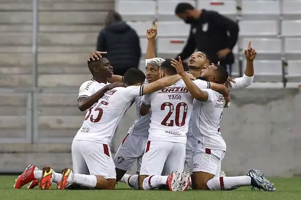 FLMI vs PLMI Dream11 for Fluminense vs Palmeiras Brazilian Serie A Live Score Daily Fantasy Football Team Tips & Guide