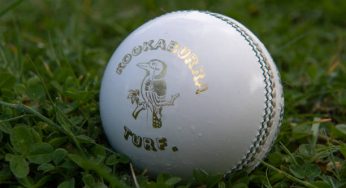 Price of Kookaburra Cricket Balls in India