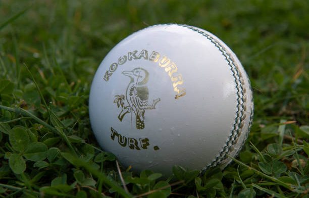 kookaburra ball price