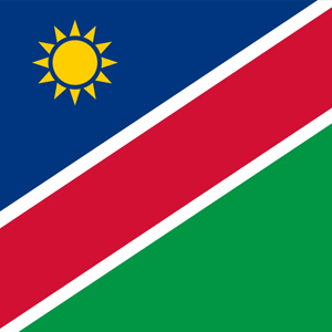 Namibia Logo