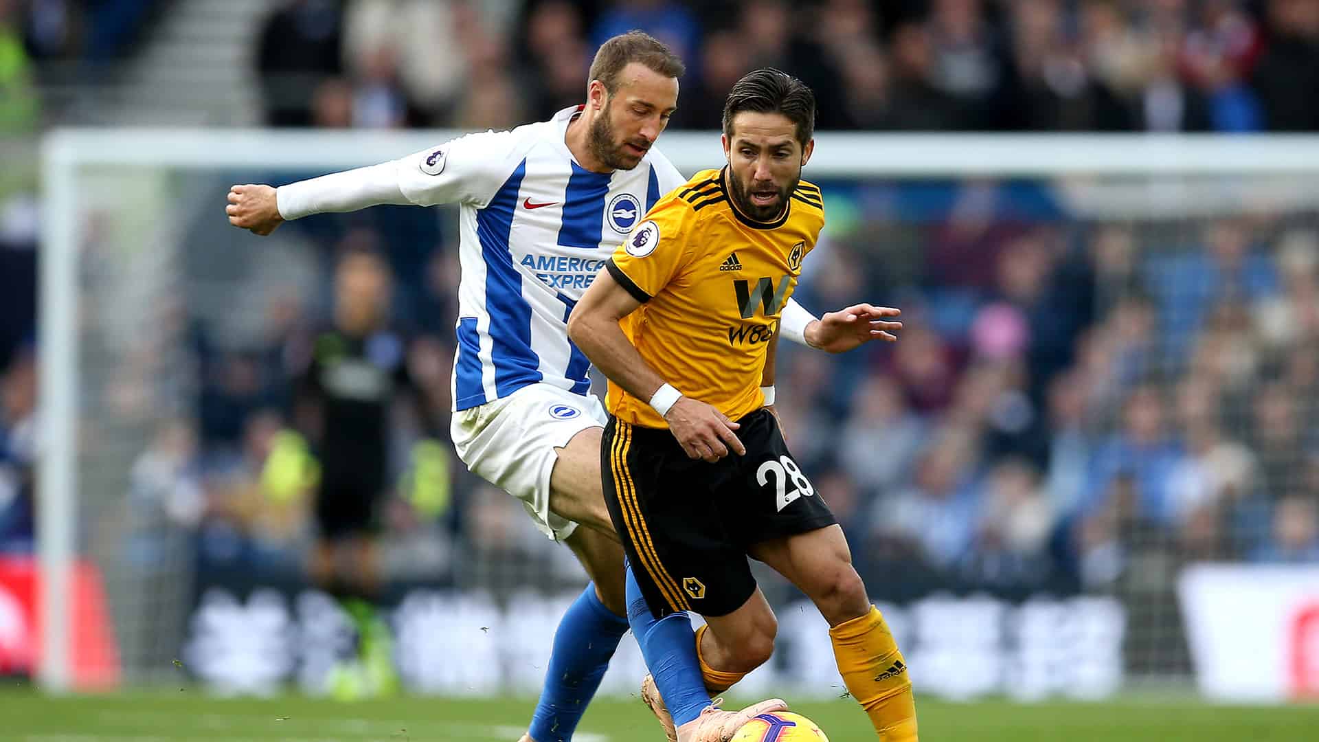 BHA vs WOL Dream11 Tips for Premier League Brighton vs Wolves 2 January