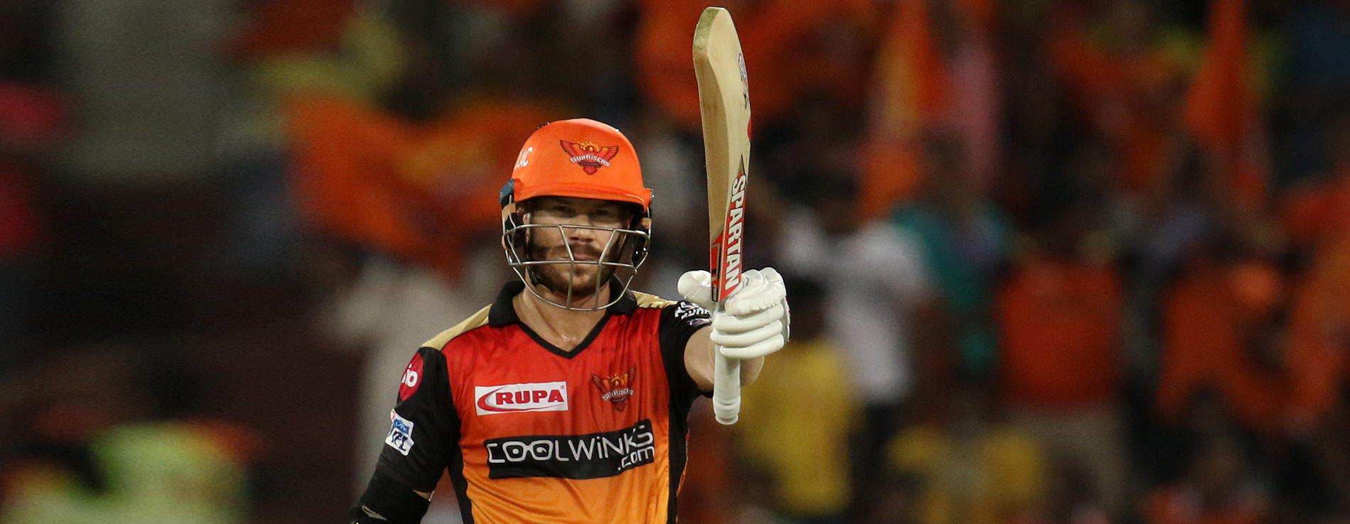 warner IPL