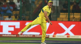 AUS vs NED: Why is Marcus Stoinis not playing today’s World Cup match?