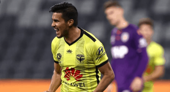 WEL vs PG Dream11 Match Prediction A League Wellington Phoenix vs Perth Glory 23 August